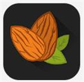 银杏视频安卓vip免会员版 V4.1.2
