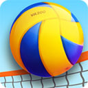 专业沙滩排球安卓版1.0.3