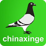 中国信鸽信息网安卓版 V20201212