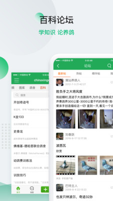 中国信鸽信息网安卓版 V20201212