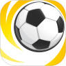 极限足球安卓版 V1.3.0