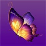 花蝴蝶免费视频直播安卓高清版 V6.0.2