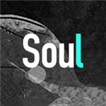 soul无限匹配破解版 V3.78.0