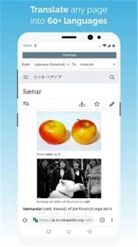 kiwi浏览器安卓版 V1.0