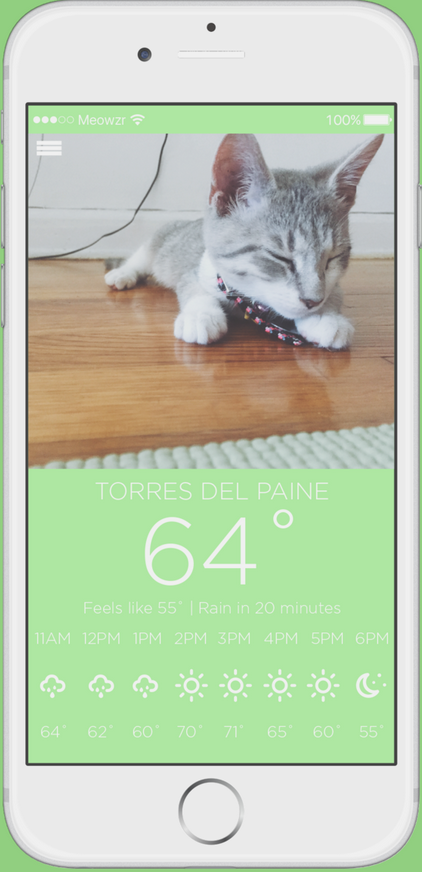 猫咪天气安卓版 V3.0.1