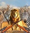 非洲丛林狩猎安卓官方版  V1.3.8
