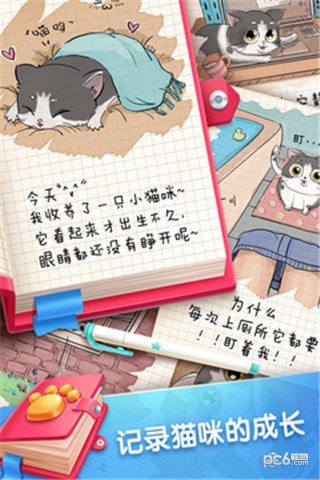 口袋猫咪安卓新版 V1.0.4