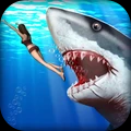 鲨鱼猎人3D经典版