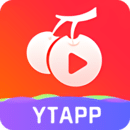 樱桃视频安卓高清版 V1.0