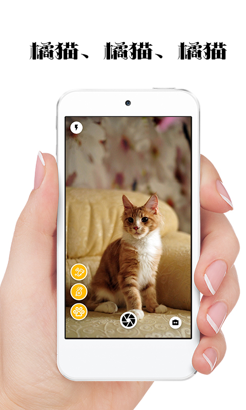 极简猫咪相机安卓免费版 V4.1.2