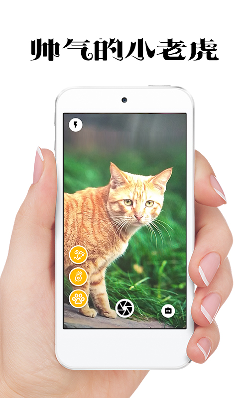 极简猫咪相机安卓免费版 V4.1.2