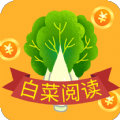 白菜阅读安卓免费版 V4.1.2