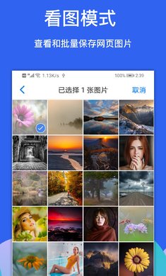 Alook浏览器安卓极速版 V4.1.2