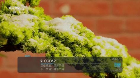 冰姐TV安卓经典版 V4.1.2