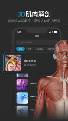 3D肌肉解剖安卓经典版 V4.1.2