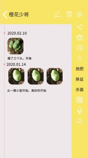 月亮多肉日记安卓官方版 V4.1.2