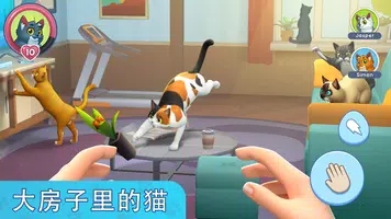 我的宠物猫模拟器安卓免费版 V4.1.2