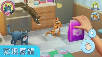 我的宠物猫模拟器安卓免费版 V4.1.2